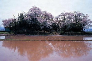 狐山古墳