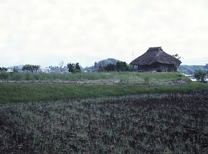 上之段石器時代遺跡