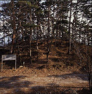 川柳将軍塚古墳・姫塚古墳