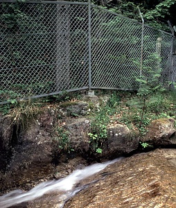 猿投山の球状花崗岩