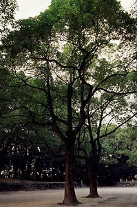 桜井駅跡（楠正成伝説地）