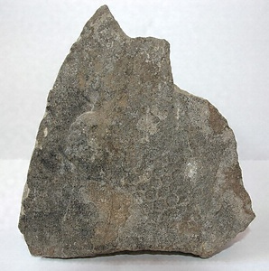 栗栖川亀甲石包含層