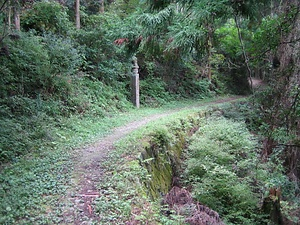 高野参詣道<br />
　町石道<br />
　三谷坂<br />
　京大坂道不動坂<br />
　黒河道<br />
　女人道