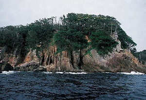 津島暖地性植物群落