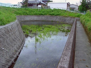オキチモズク発生地