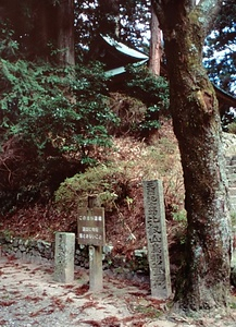 比叡山鳥類繁殖地