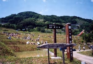 姨捨（田毎の月）