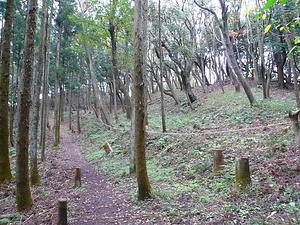 長柄桜山古墳群