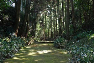 豊前街道<BR/>　南関御茶屋跡<BR/>　腹切坂