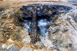 八藤丘陵の阿蘇４火砕流堆積物及び埋没林