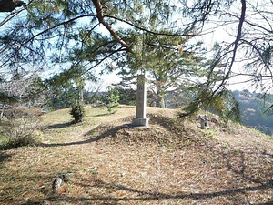 菊川城館遺跡群<BR/>　高田大屋敷遺跡<BR/>  　横地氏城館跡