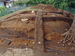 台渡里官衙遺跡群<BR/>　 台渡里官衙遺跡<BR/>　 台渡里廃寺跡