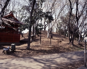 武蔵府中熊野神社古墳