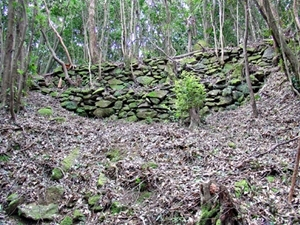 勝尾城筑紫氏遺跡
