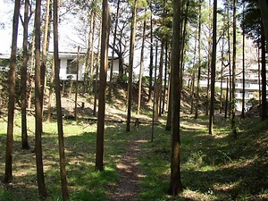 下総小金中野牧跡