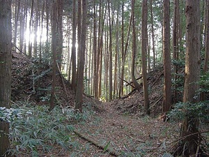 甲賀郡中惣遺跡群