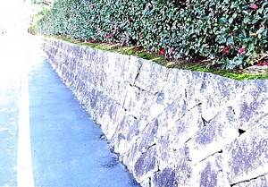 岡山県立岡山朝日高等学校（旧第六高等学校）正門及び石積