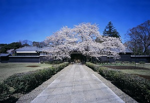 旧吉田家住宅（千葉県柏市花野井） 長屋門