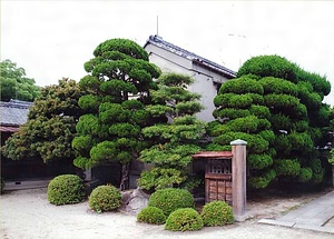 旧毛利家本邸 台所付倉庫