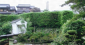 佐野家住宅石垣