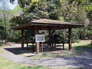 小石川植物園（御薬園跡及び養生所跡）