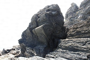 名護市嘉陽層の褶曲