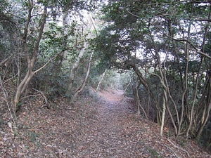 讃岐遍路道<BR/>　大興寺道<BR/>　曼荼羅寺道<BR/>　曼荼羅寺境内<BR/>　出釋迦寺境内<BR/>　甲山寺境内<BR/>　善通寺境内<BR/>　根香寺道<BR/>　根香寺境内<BR/>　志度寺境内<BR/>　大窪寺道<BR/>　大窪寺境内