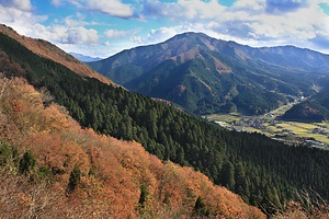 智頭の林業景観