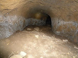 志木の田子山富士塚