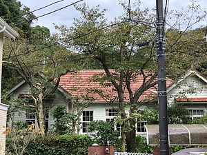 田中・大野邸主屋