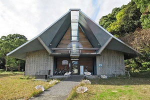 海のギャラリー