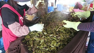 石鎚黒茶の製造技術