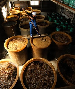 能登のいしる・いしり製造技術