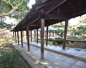 東福寺通天橋北歩廊