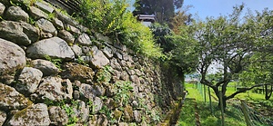 上田家住宅石垣