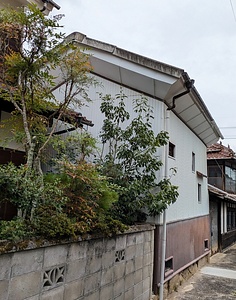 大藤家住宅土蔵