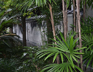 吉村家住宅西塀