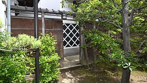和泉市久保惣記念美術館茶室北板塀
