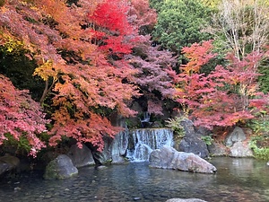 日本万国博覧会記念公園日本庭園