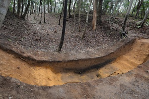 因幡国山陰道跡