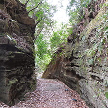 古都鎌倉の寺院・寺社ほか